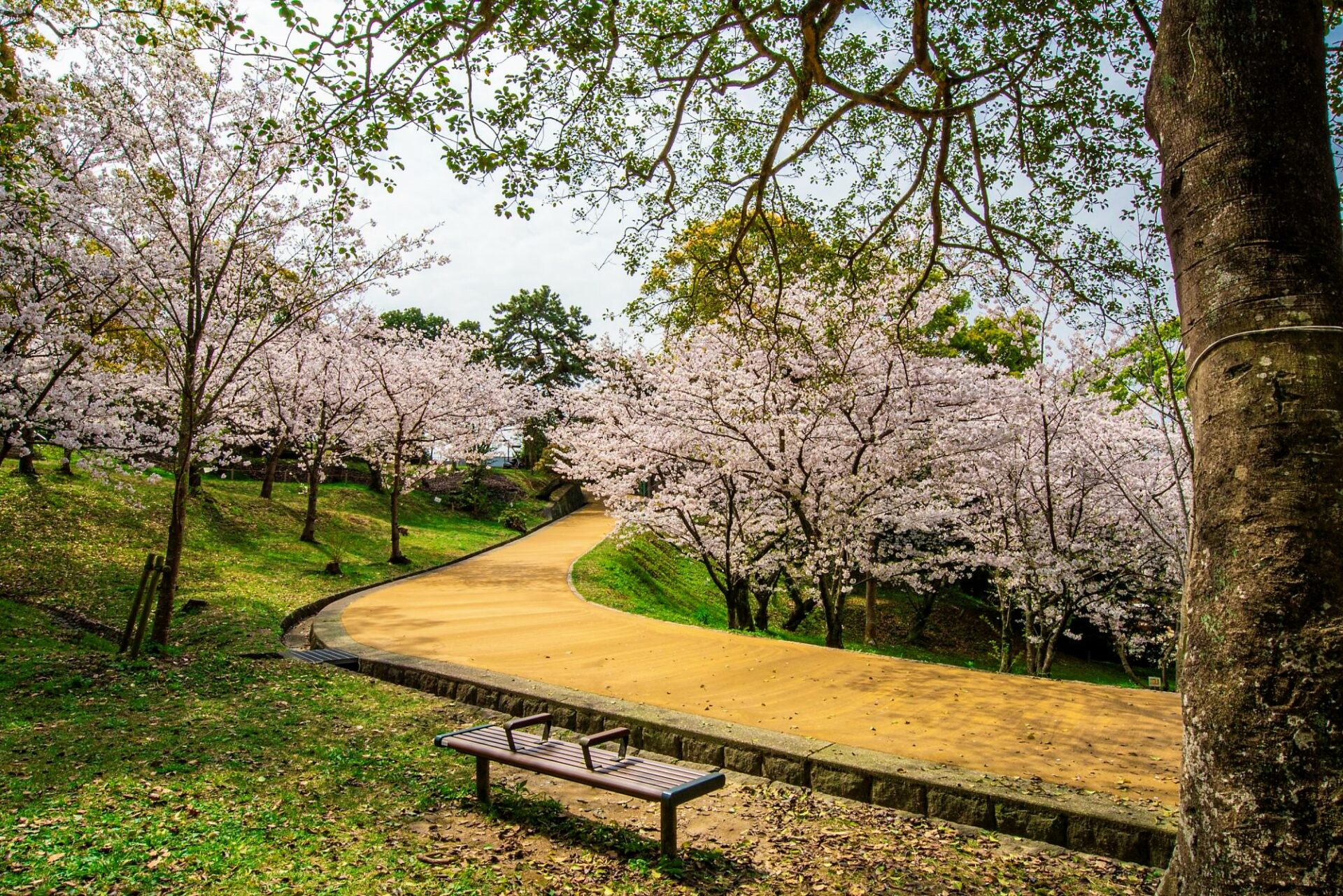 kyushu land tour