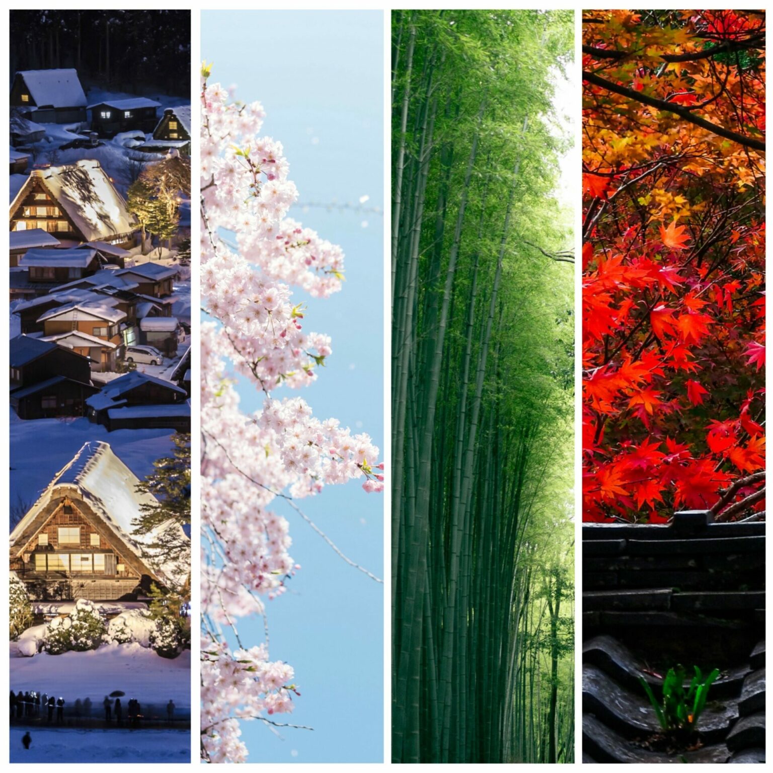 Yokoso Japan Tour 2026 (Coming Soon) | HIS Hawaii