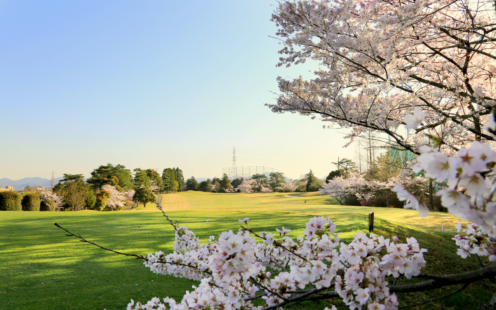 Japan Golf Getaway | HIS Hawaii